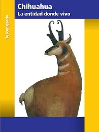 Ciencias fisica volumen ii segundo grado. Entidad Donde Vivo Chihuahua Libro De Texto Tercer Grado Chihuahua
