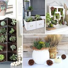 Outdoor succulent garden ideas large rocky cacti garden surrounded by palm trees. Rustic Succulent Decor Ideas My Nourished Home