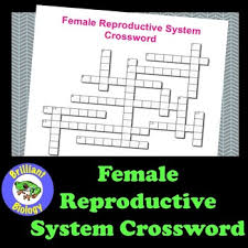 Check spelling or type a new query. Pregnancy Announcement Puzzle Worksheets Teaching Resources Tpt