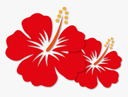 In fact, you can even book your airport situated in gaya island, bunga raya island resort is the perfect place to experience kota kinabalu. Transparent Bunga Png Cartoon Hibiscus Png Png Download Transparent Png Image Pngitem