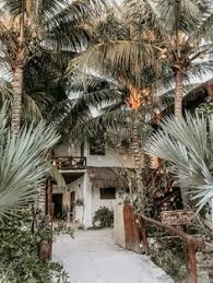 Best tacos in holbox, holbox island: 110 Isla Holbox Travel Ideas Long Weekend Getaways Mexico Travel Isla