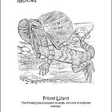 I hope that you're having a wonderful day. Reptiles Coloring Book 10 Different Pages