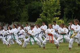 Karate traditional si discipline asociate urmând ca în 1996 sa devina în forma actuala si anume f.r. Federatia Romana De Karate Traditional Palatul Elisabeta 10 Iulie 2015 Foto Nicolae Badiu 11 Familia RegalÄƒ A Romaniei Royal Family Of Romania