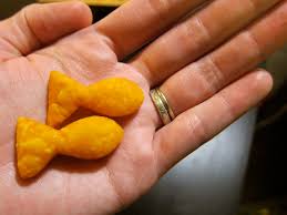 Cooked fish is a great source of protein for cats, as it contains a vital source of amino acids which helps to maintain a healthy coat. How To Vegan Goldfish Crackers With Plastic Bottle Cookie Cutter