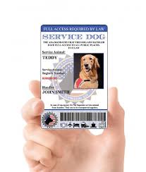 Get Your Service Dog Registration And Register For Complimentary On Line Check That To Ascert Emotional Support Animal Emotional Support Dog Emotional Support