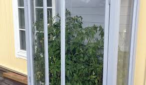 How to build a 50 dollar diy imagine what more you can get with green things growing in your greenhouse with the minimal. Diy Mini Greenhouse Vegocracy