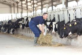 Aide familiale agricole dans le doubs de 1961 a 1966, puis je prétendre a des trimestres de retraite. La Retraite Complementaire Des Exploitants Agricoles La Retraite En Clair