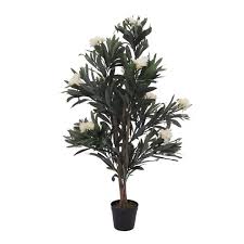 La terre s'épuise plus vite en pot et l'apport d'engrais est vivement conseillé pour assurer une floraison abondante. Laurier Rose Artificiel Minou Blanc 120 Cm Plante Fleurie Artificielle Faux Arbre Artplants Cdiscount Maison