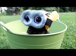 Baby Goats Dressed As Darling Minions People Com