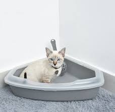 Basically, if you're thinking about ordering this litter box, do it! Triangle Shape Hidden Cat Litter Box Cat Toilet Clean Litter Box Buy Cat Litter Box Toilet Hidden Cat Litter Box Litter Box Cat Product On Alibaba Com