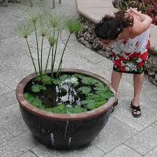 Making Your Own Container Water Garden Garten Garten Pflanzen Wassergarten