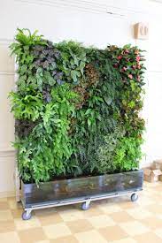 Pin By Chantal Nerdymamma Com On The Kfc Bucket List Vertical Garden Plants Wall Garden