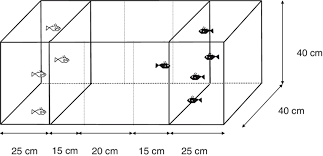If the floor is designed properly it's designed with a fudge factor for weight and movement such that reasonable weights and movement are within the structural design criteria. The Aquarium Used To Measure Shoaling Preferences In The Left And Download Scientific Diagram