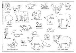 Download Als Pdf Natur Wald Tiere Pflanzen Henkel Tiere Waldtiere Und Wald