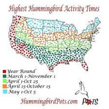 Hummingbird Migration Spring Fall Migration Information