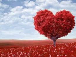 شعر حب باسم اسماء ابيات عشق و غرام جميلة جدا