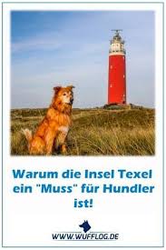 Wo Ist Der Nachste Hundestrand Welcher Hundestrand Hier Durfen Hunde Uberall An Den Strand Hundestrand Urlaub Mit Hund Hund Reisen