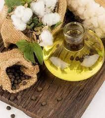 Ingredients Seed Oil Healthy Oils Oils