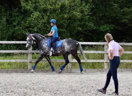 How can they insure a vehicle that they dont own? Riding Instructors Insurance Kbis