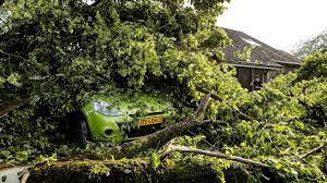 Mogelijk was er sprake van een windhoos, maar de veiligheidsregio's kunnen dat nog niet met. Ht9pnktf7lrfjm