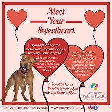 Our mission is to rescue, shelter, and find loving permanent homes for the many wonderful, yet previously abandoned, neglected or abused companion animals. No Valentine No Problem Unconditional Harris County Animal Shelter Facebook