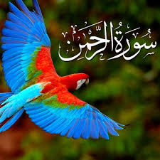 This makes the music download process as comfortable as possible. Surah Ar Rahman With Urdu Translation Listen Download Mp3 Audio Online By Daily Islamic Knowledge
