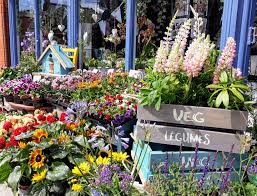20% off all flower deliveries! Main Street Flowers Howth Home Facebook