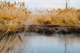 Maybe you would like to learn more about one of these? 7 Amazing Utah Hot Springs Complete Guide Map Photos