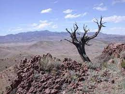 The park is about 30 miles (50 km) long from north to south, and its width varies from a maximum of about 12 miles (20 km) in the north to a minimum of about 1 mile (1.6 km) along a narrow corridor between the north and south, where the park widens again to about 4 to 5 miles (6. Bosque Del Apache Wilderness Nature Reserve Outdooractive Com
