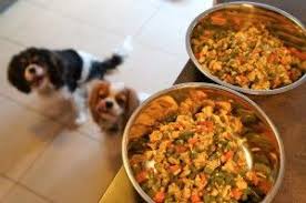 Recette Pour Chien Ration Menagere Du Debutant Baikasblog Recettes Pour Chien Repas Maison Pour Chien Nourriture Maison Pour Chien
