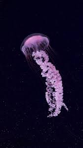 Astronout in space with jely fish download. Wallpapers For Phones Mobiles Page 128