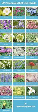 Einsteiger Gartnern Gartnern Zu Handen Einsteiger Republik Irland Gartenlands Modern Design Des In 2020 Gardening For Beginners Plants That Love Shade Perennials