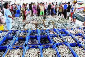 Tak heran jika ikan ini kerap diolah dalam. Lelang Ikan Di Tpi Pekalongan Mulai Bangkit