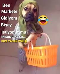 Komedi Vip Instagram Da Bir Gonderi Paylasti Bi Kolayla Bi Luppo Kap Gel Komedivip 1 120 Gonderiyi Gorme 2020 Komik Cocuklar Komik Capsler Komik