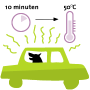 Afbeeldingsresultaat voor warm weer