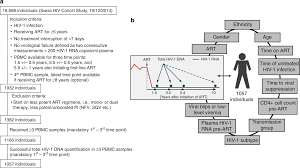 Determinants Of Hiv 1 Reservoir Size And Long Term Dynamics
