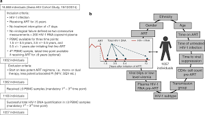 determinants of hiv 1 reservoir size and long term dynamics