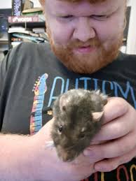 This rat is so fat it got stuck in a sewer grate and had to be rescued 🐀😭