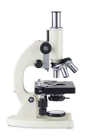 In my personal microscope, the iris diaphragm is controlled by a little black lever on the side of the condenser, and i push the lever forwards and backwards to change the diameter of the diaphragm. Understanding The Compound Microscope Parts And Its Functions Science Struck