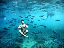 Lembah harau terkini ada apa aja sih di lembah harau. Kolam Alami Dengan Ikan Legenda Di Indonesia Salah Satunya Konon Jelmaan Dari Prajurit Prabu Siliwangi