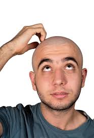 56.000+ Cabezas Calvas Fotografías de stock, fotos e imágenes libres de  derechos