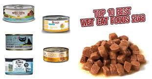 The Water Content Of Cat Food Is A Crucial Factor You Will Consider If You Have A Cat It Is A Known Fact That Homemade Cat Food Canned Cat Food