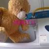 Stuffed animals are similar to pillows in that they wash much better if laundered in a machine that does not have an agitator. 1