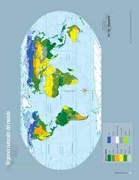 Atlas de geografía del mundo libro de primaria grado 5° este libro de texto fue elaborado para cumplir con el anhelo compartido de que en el país se ofrezca una educación con equidad y calidad,. Diversidad De Flora Y Fauna Capitulo 2 Leccion 4 Apoyo Primaria