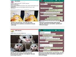 Anak monyet yg dipelihara seperti bayi manusia sejak lahir mempunyai tingka laku seperti bayi manusia. Mudahnya Jual Haiwan