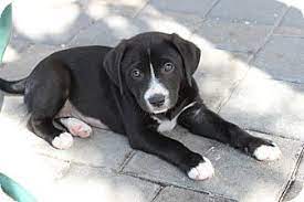 Read about our story as if unfolds in 2021. Pin On Animals