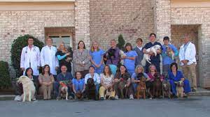 When it comes to your pet's health, we expect that you want the very best care. North Shelby County Animal Hospital Veterinarian In Pelham Al Us Videos North Shelby County Animal Hospital Veterinarian In Pelham Al Us