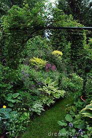 Group Plants In The Shadow Garden Place Royalty Free Stock Photo Image 13228075 Shade Plants Shade Garden Shade Garden Plants