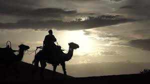 852 x 480 jpeg 28 кб. Camel Desert Stock Video Footage Royalty Free Camel Desert Videos Page 18