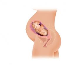 Corpul tău în săptămâna 40 de sarcină. Saptamana 38 De Sarcina Regina Maria